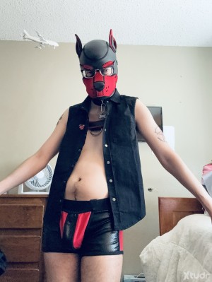 Xtudr - AshCinder: Just a pup in his 30s looking for more kinky friends to have fun times with.