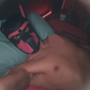 Xtudr - 2sumisos2games: We are two submissive guys looking for SM games. We are willing to meet people who are interested in our profile, op...