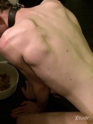 Xtudr - perrito24-7: Soy un perrito novato para un amo que me humille y pertenecerle real o ciber