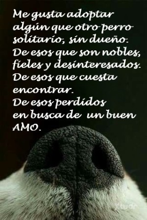 Xtudr - BUSCO-DOG: CONTACTO PARA CONVERTIR O TENER A UN SUMISO COMO MASCOTA HUMANA
                                                     (Mas...