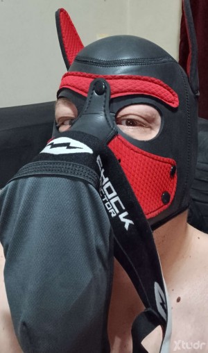 Xtudr - SubmissivePup: Esclavo Pup que lamerá, chupará y recibirá cualquier y todo pollón que mi Amo elija para mí.
Cuyo único placer es com...