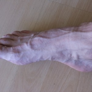 Xtudr - eresmia: AMO ACTIVO DEPORTISTA. ME GUSTAN IDEAL MADUROS GORDOS MAS DE 45 AÑOS. QUE DESEAN UN MACHO DOMINANTE DENTRO Y FUERA DE CASA....