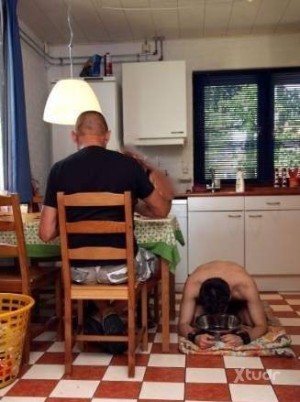 Xtudr - BUSCO-DOG: CONTACTO PARA CONVERTIR O TENER A UN SUMISO COMO MASCOTA HUMANA
                                                     (Mas...