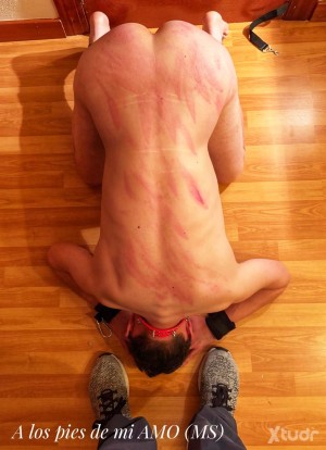 Xtudr - KLAVS: Faggot Masochist Dog in exclusive property of the Dominant man {MS}