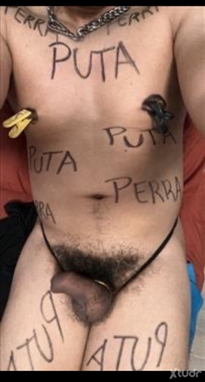 Xtudr - MarcosPutaCerda: Soy una puta cerda, me encanta exponerme en TEAMS para los Amos, que me revienten de popper, me usen a placer.
Caga...