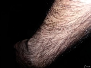 Xtudr - Felix67: We can talk about almost anything.