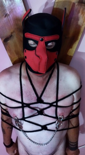 Xtudr - MasterThor^Txas^: Hello, my name is Manuel and I'm from Mazarron, I'm 51 years old and I'm a submissive. I have my own dungeon and a...