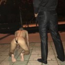 Xtudr - BUSCO-DOG: CONTACTO PARA CO...