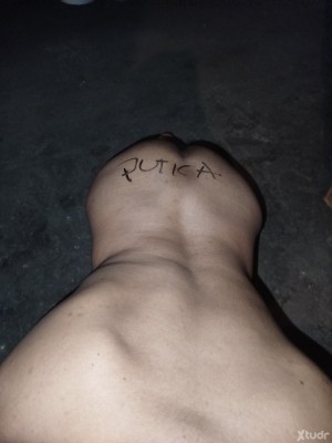 Xtudr - Perrasedienta: 