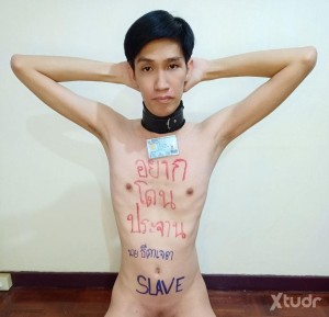 Xtudr - FagTeetajet: I, Teetajet Pratumthong 
Country : Thailand 
I want to be exposed everywhere without mercy.
Help this loser filthy fagg...