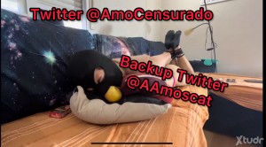 Xtudr - AmoScatVK1: Twitter @AmoCensurado
Backup Twitter @AAmoscat
Whatsapp 666753886
Xtudr anda censurando mi contenido BDSM consensuado en...