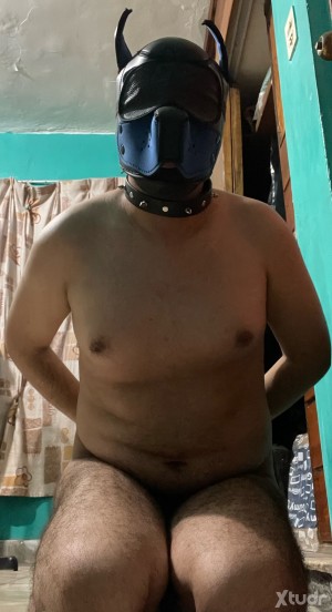 Xtudr - PuppySumiso: Soy un puppy sumiso de Monterrey buscando Amo para experimentar sesión y ser dominado y adiestrado 
Siempre buscando ha...