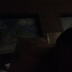 Xtudr - Anh_Tv: Sissy boy with tendencies towards submission and humiliation. I'm passive, very feminine, kind and yes, sometimes I'm a bit ...