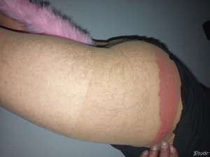 Xtudr - Bictivopasivo: 