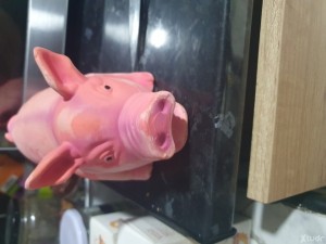 Xtudr - lopez: Sumiso  cerdo buscando amos cañeros  dominante  qué mesometa y humille  ummm
