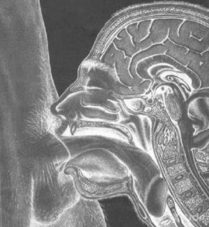 Xtudr - Dios: TE QUIERO SIN LIMITES, SOY MUY DESPOTA, HUMILLANTE, CABRON, SIN MIRAMIENTOS NINGUNO HACIA TÍ .
TU SóLO ERES MI PROPIEDAD Y HAG...