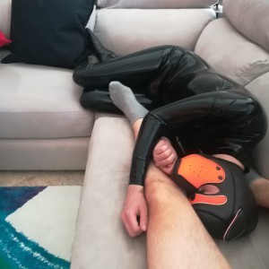 Xtudr - amispiesperro: I have a very clear idea of what I'm looking for, don't waste my time. I'm demanding and aware that I'm superior to y...