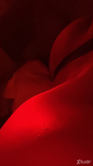 Xtudr - _H0t4ng3lBoY: Hot4ng3lBoy in X
- Everything with Safety
- Mutual Respect for Limits