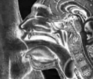 Xtudr - VERSXL👀VERSXL: Male, with lust, vice and endurance for good gagging sessions. 4.20