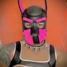 Xtudr - Kinkpup: 
