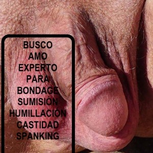 Xtudr - gaybondage: Soy muy normal. 1,75 cm , 64 kg, depilado siempre entero, y de cara soy feo, 46 años, me cuido mucho, bien llevados. Est...