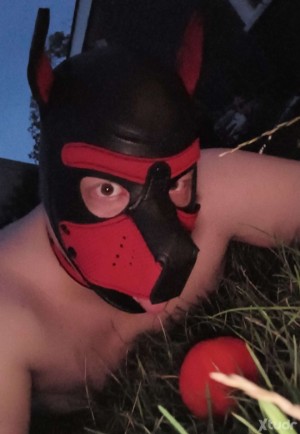 Xtudr - SubmissivePup: Submissive Pup who will lick, suck and take any and all dick my master picks for me.
Who's only joy is to please, ple...