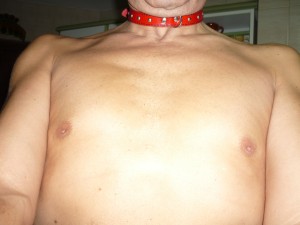 Xtudr - mierda: I'm looking for a young dominant man to serve and obey him, I don't pay and I don't want to be paid.