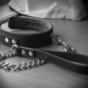 Xtudr - ponmecollar: Getting to know dominant men or people into this scene.
I'd like to find a guy to live with, where we can be together w...
