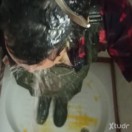 Xtudr - Pissscatwamboy: Looking for...