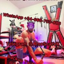 Xtudr - <><AmoScat: Xtudr anda cens...