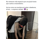 Xtudr - perroboy: CDMX
Looking for ...