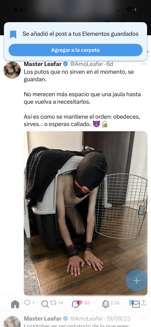 Xtudr - perroboy: CDMX 
Buscando amo que me haga su mascota y su putita. 
Castidad, humillación, exhibicionismo…