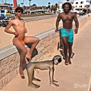 Xtudr - 2qsuosg2: Perro pendejo inf...