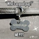 Xtudr - MMblue: busco amistad, Prim...