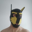 Xtudr - sumisogus: Sumiso cerdo