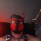 Xtudr - pelaeteffbcn: looking for f...