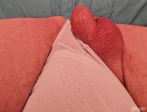 Xtudr - Stanchev: Busco un Amo fijo, en exclusiva, para ser su criado, mayordomo, recadero, servicio domestico, todo aquello que un gran hom...