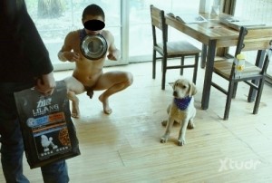 Xtudr - BUSCO-DOG: CONTACTO PARA CONVERTIR O TENER A UN SUMISO COMO MASCOTA HUMANA
                                                     (Mas...