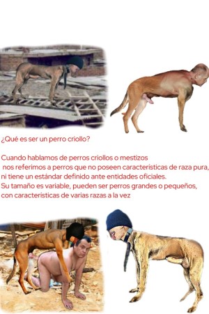 Xtudr - Perritonferior: Soy un perro inferior estoy pendejo soy imbécil solo sirvo para que la gente me humille y se burlen de mi condición ...