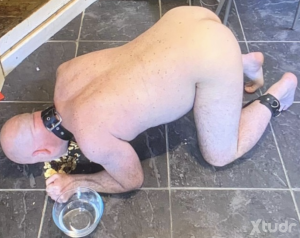 Xtudr - bondageslave54: I'm a mature submissive male, shaved head, gray beard, fat, domestic, bondage enthusiast and foot worshiper for Dom,...