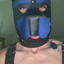 Xtudr - MaxCachorro: I'm looking fo...