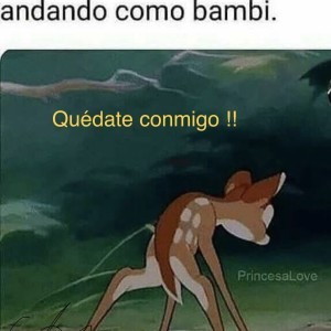 Xtudr - arabeamo: Amo cañero. algún sumiso obediente. Soy legal .algún WC POR BIZKAYA !!! SEÑOR AMO en busca de tipos solventes masocas y es...