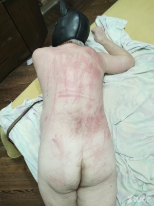 Xtudr - Am-Dominador: Looking for submissive men or switches to collar.