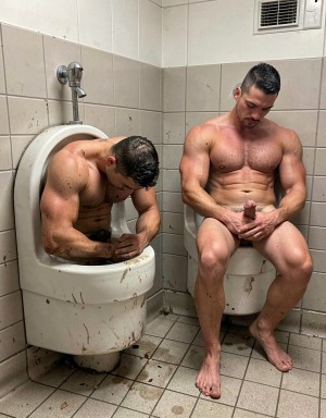 🐷🐖