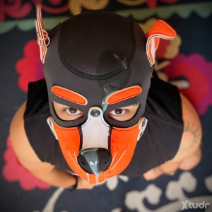 Xtudr - Hank_pup: 