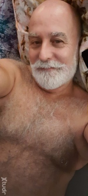 Xtudr - PEPOBEAR: OSO VELLUDO GORDITO, CON BARBA BLANCA, MUY VICIOSO Y GUARRETE.