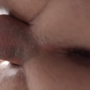 Xtudr - zorraCastro: Perro listo pa...