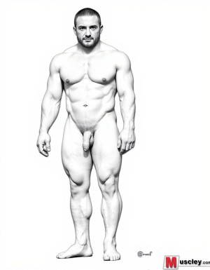 Tom of Finland. Hombres gay porno: "The Complete Kake Comics". Solo hombres desnudos musculosos. Los dibujos de hombres tienen pene erecto de 50 cm de longitud y 8 cm de diámetro.