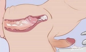 Xtudr - bdsmDOMdaddy: Soy un amo divertido, honesto, juguetón, cariñoso, estricto y severo a veces, exigente, pequeño pollón, pero siempre j...