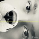 Xtudr - carlos171210: 